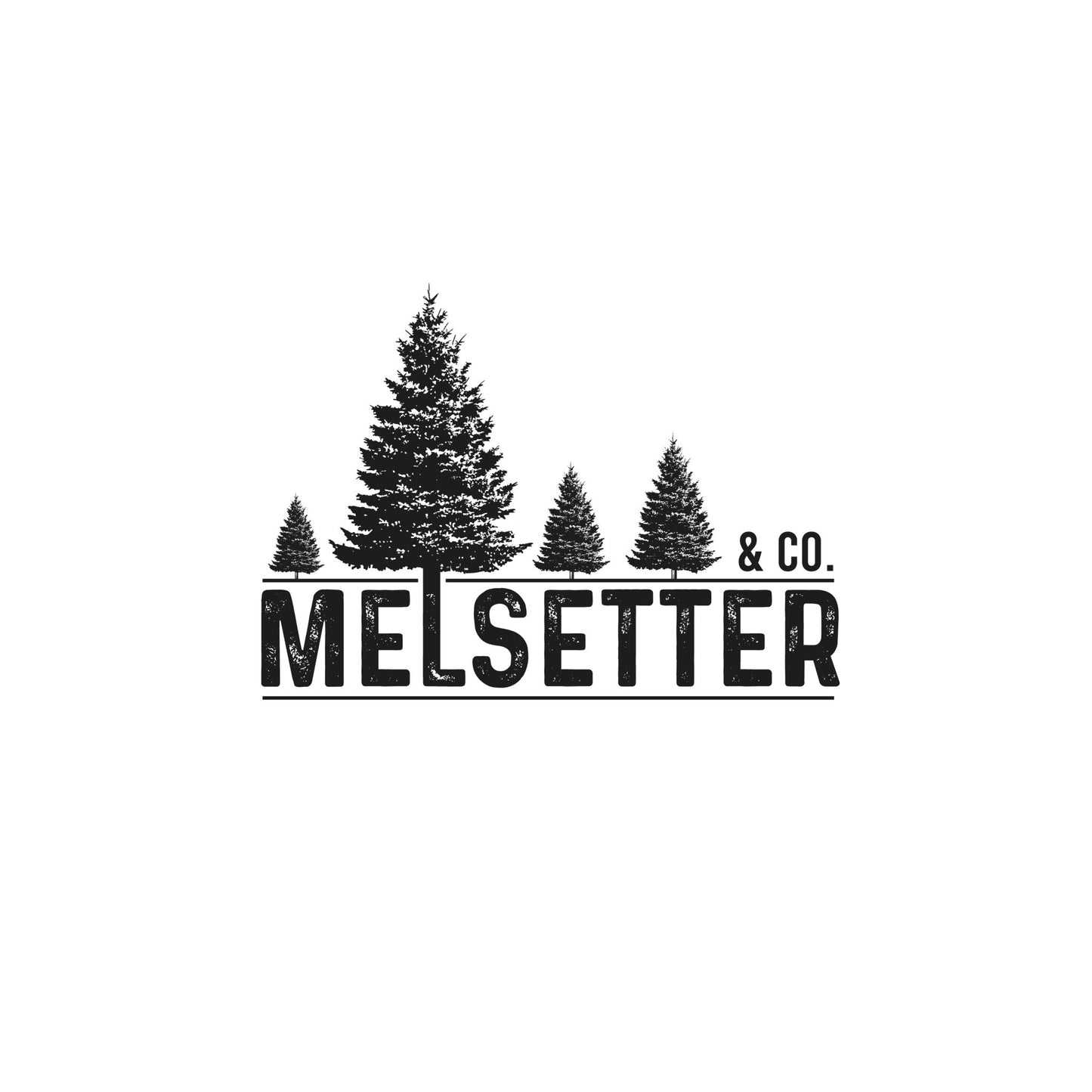 Budget Custom Logo (Startup/Small Business) - TheLittleLogoLab
