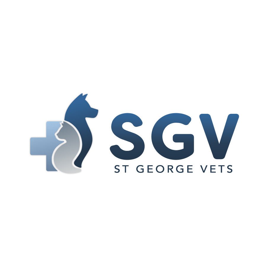 Custom Logo (Startup/Small Business) - TheLittleLogoLab